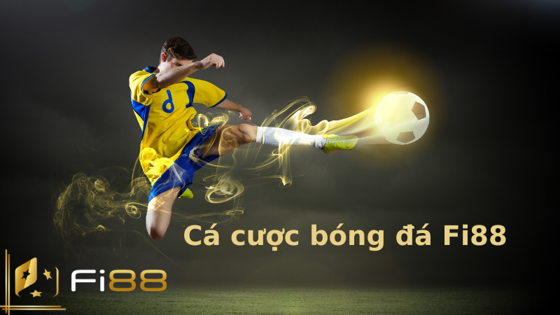 cá cược bóng đá tại fi88.city